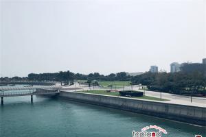 阿聯(lián)酋對中國公民免簽新規(guī)發(fā)布：180天內(nèi)限停90天